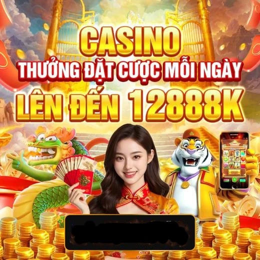 xin77