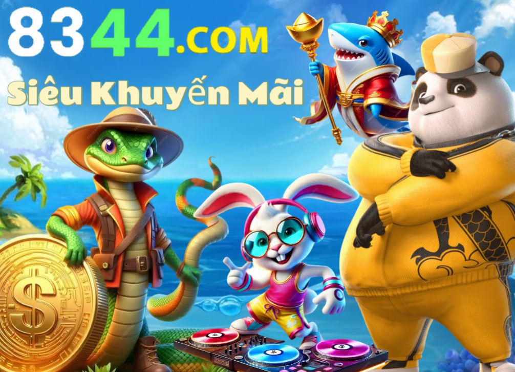 xin77