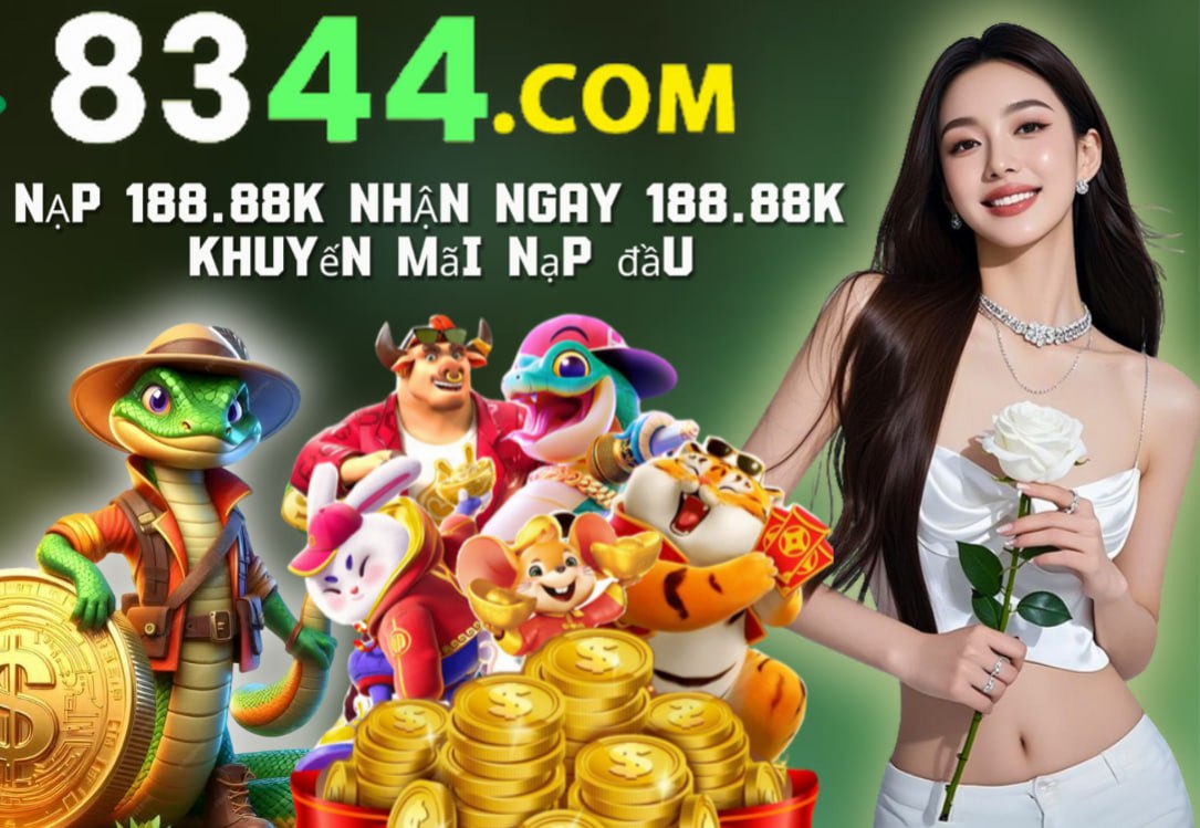 xin77