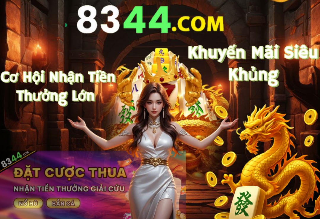 xin77