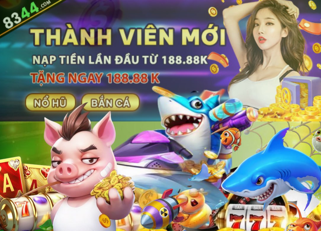 xin77