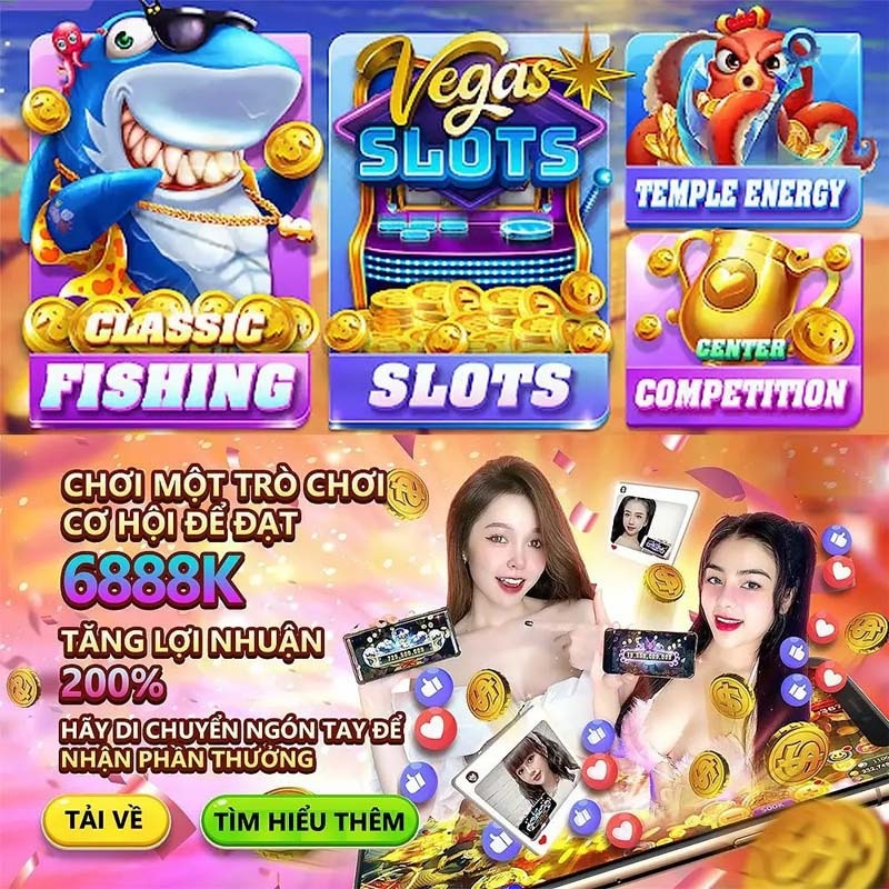 xin77